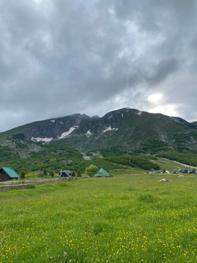 Guesthouse Andrea A Žabljak Buitenkant foto