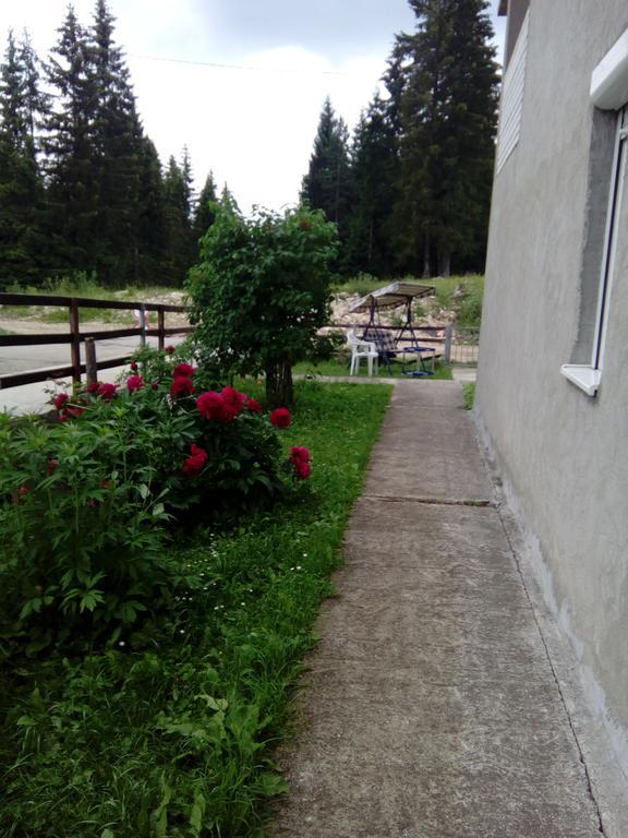 Guesthouse Andrea A Žabljak Buitenkant foto