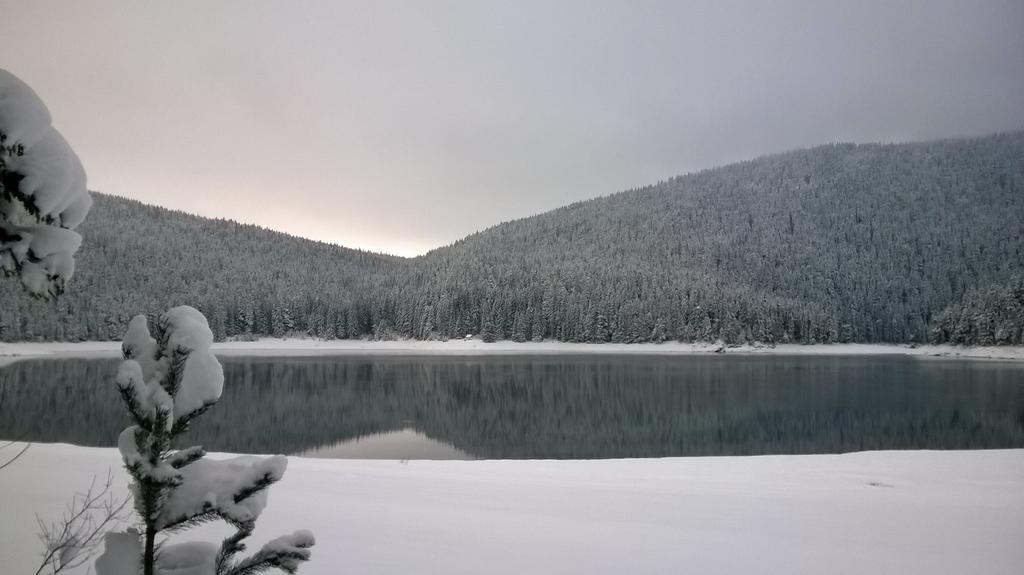 Guesthouse Andrea A Žabljak Buitenkant foto